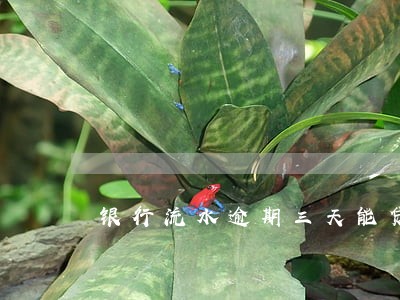 银行流水逾期三天能贷房贷吗 银行流水逾期三天能贷房贷吗