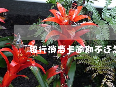 银行消费卡逾期不还怎么算利息 银行消费卡逾期不还怎么算利息