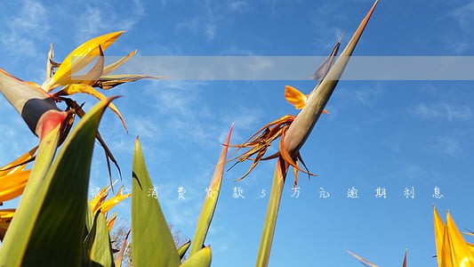 银行消费贷款5万元逾期利息 银行消费贷款5万元逾期利息