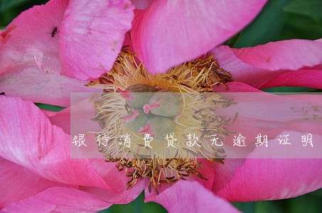 银行消费贷款无逾期证明 银行消费贷款无逾期证明