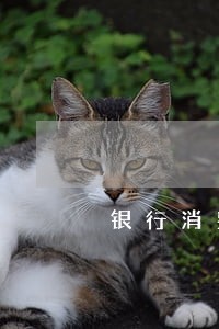 银行消费贷款逾期率 银行消费贷款逾期率