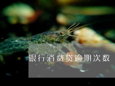 银行消费贷逾期次数 银行消费贷逾期次数