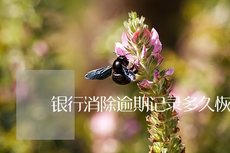 银行消除逾期记录多久恢复 银行消除逾期记录多久恢复