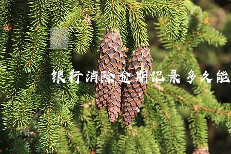 银行消除逾期记录多久能恢复 银行消除逾期记录多久能恢复