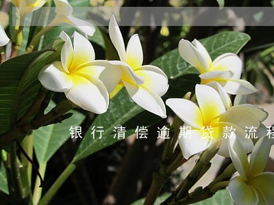 银行清偿逾期贷款流程 银行清偿逾期贷款流程