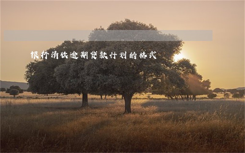银行清收逾期贷款计划的格式 银行清收逾期贷款计划的格式