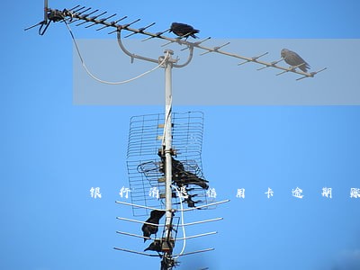 银行清退信用卡逾期账户 银行清退信用卡逾期账户