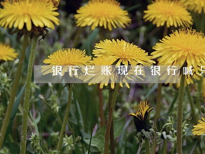 银行烂账现在银行喊只还本金 银行烂账现在银行喊只还本金