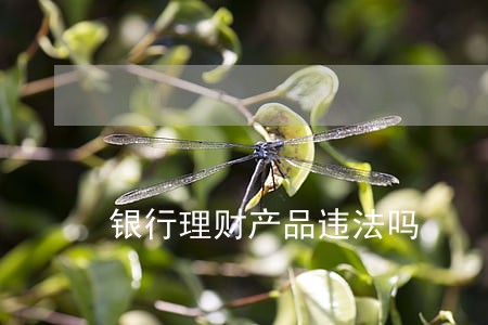 银行理财产品违法吗 银行理财产品违法吗