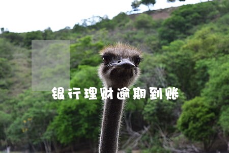 银行理财逾期到账