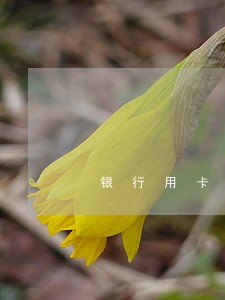 银行用卡逾期减免 银行用卡逾期减免