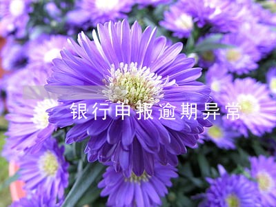 银行申报逾期异常 银行申报逾期异常