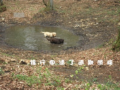银行申请了逾期消除 银行申请了逾期消除