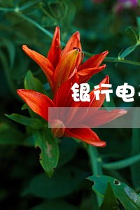 银行电子承兑多少天算逾期 银行电子承兑多少天算逾期