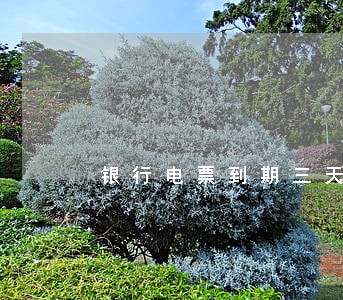 银行电票到期三天内算逾期吗 银行电票到期三天内算逾期吗