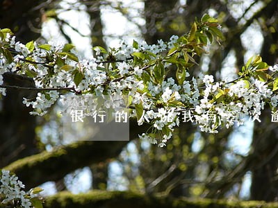 银行的人说我有三次逾期