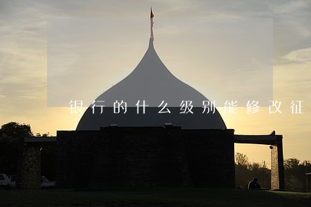银行的什么级别能修改征信逾期 银行的什么级别能修改征信逾期
