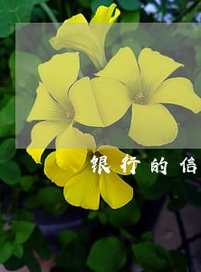 银行的信用卡逾期多久会被起诉 银行的信用卡逾期多久会被起诉