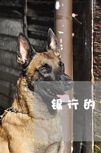 银行的信用报告显示有逾期 银行的信用报告显示有逾期