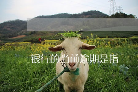 银行的当前逾期是指 银行的当前逾期是指