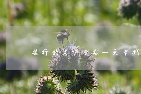 银行的房贷逾期一天有影响吗 银行的房贷逾期一天有影响吗