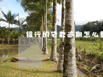 银行的贷款逾期怎么算 银行的贷款逾期怎么算