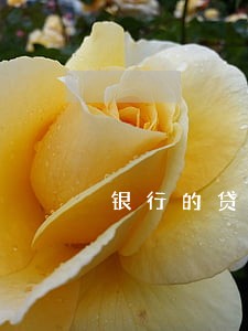 银行的贷款逾期违约金吗 银行的贷款逾期违约金吗