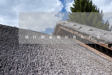 银行的逾期利息和罚息 银行的逾期利息和罚息