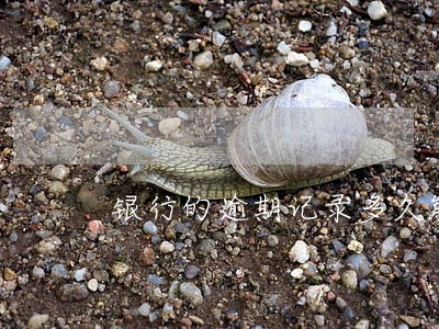 银行的逾期记录多久能消除 银行的逾期记录多久能消除