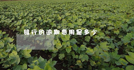 银行的逾期费用是多少 银行的逾期费用是多少