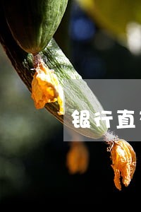 银行直存款逾期 银行直存款逾期