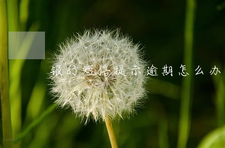 银行短信提示逾期怎么办 银行短信提示逾期怎么办
