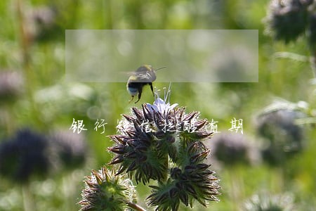 银行短信提醒逾期