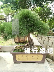 银行短信费逾期六次没还 银行短信费逾期六次没还