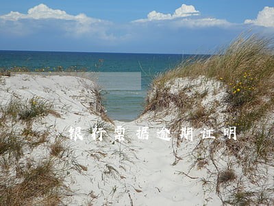 银行票据逾期证明 银行票据逾期证明