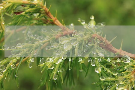 银行税贷利息逾期多久会上征信 银行税贷利息逾期多久会上征信