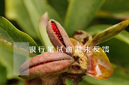 银行笔试逾期未反馈 银行笔试逾期未反馈