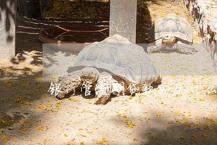 银行管逾期贷款的是什么部门 银行管逾期贷款的是什么部门