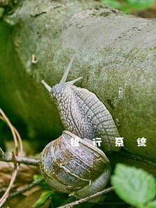 银行系统原因没扣款出现逾期 银行系统原因没扣款出现逾期