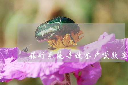 银行系统导致客户贷款逾期风险 银行系统导致客户贷款逾期风险