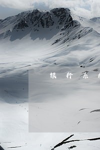 银行系统查询贷款逾期 银行系统查询贷款逾期