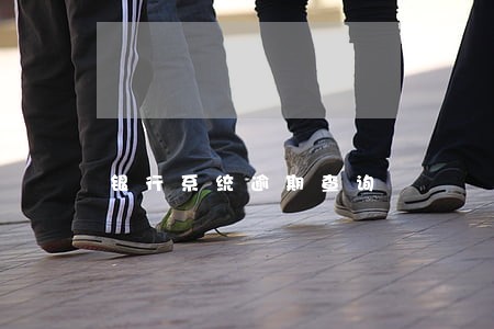 银行系统逾期查询 银行系统逾期查询