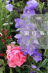 银行系统问题导致逾期是否能撤销 银行系统问题导致逾期是否能撤销
