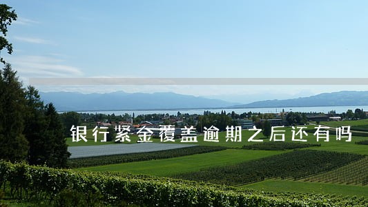 银行紧金覆盖逾期之后还有吗 银行紧金覆盖逾期之后还有吗