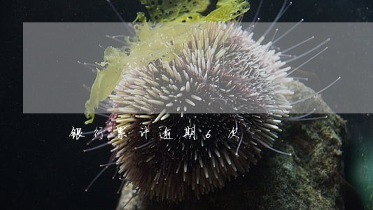 银行累计逾期6次 银行累计逾期6次