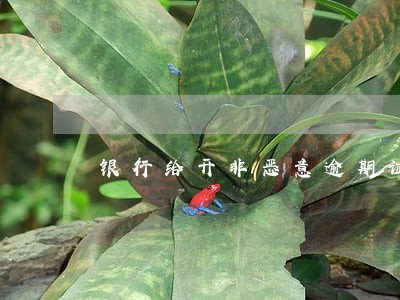 银行给开非恶意逾期证明吗 银行给开非恶意逾期证明吗