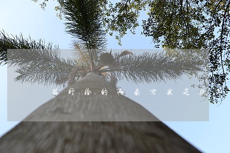 银行给的两套方案还款算逾期吗 银行给的两套方案还款算逾期吗
