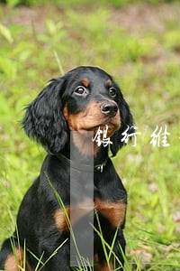银行维护钱还不掉算逾期吗 银行维护钱还不掉算逾期吗