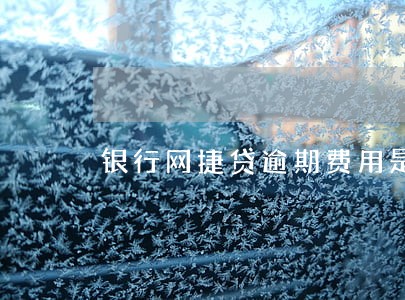 银行网捷贷逾期费用是多少 银行网捷贷逾期费用是多少