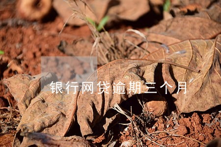 银行网贷逾期三个月 银行网贷逾期三个月